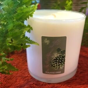 ❤️BUY 5 GET 3 FREE  Roland Pine Medium 9.5 oz Candle